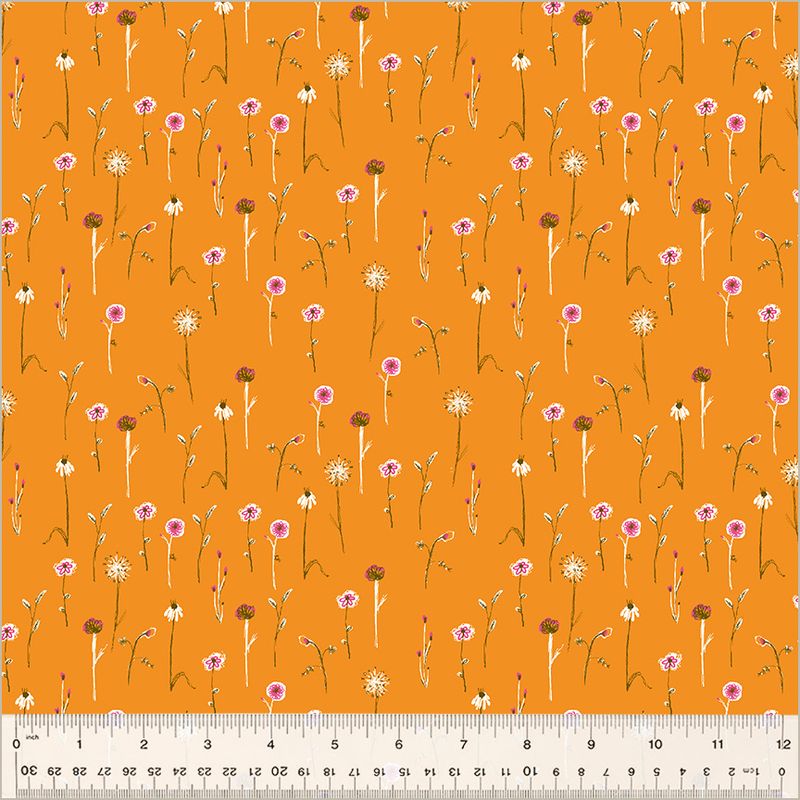 Studio Edit / Wildflowers / Orange