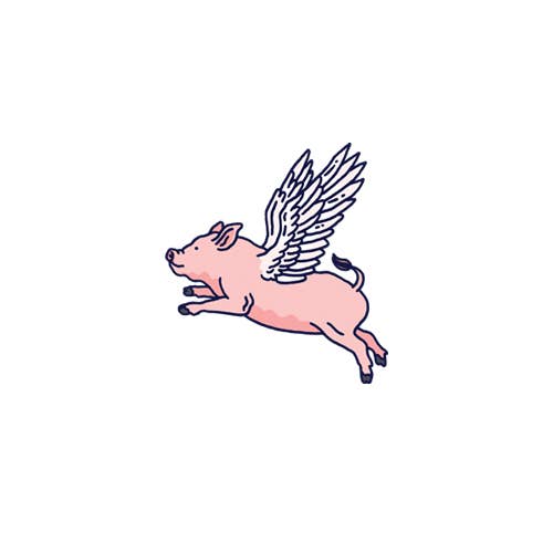 Tattly Tattoo Pair / Flying Pig