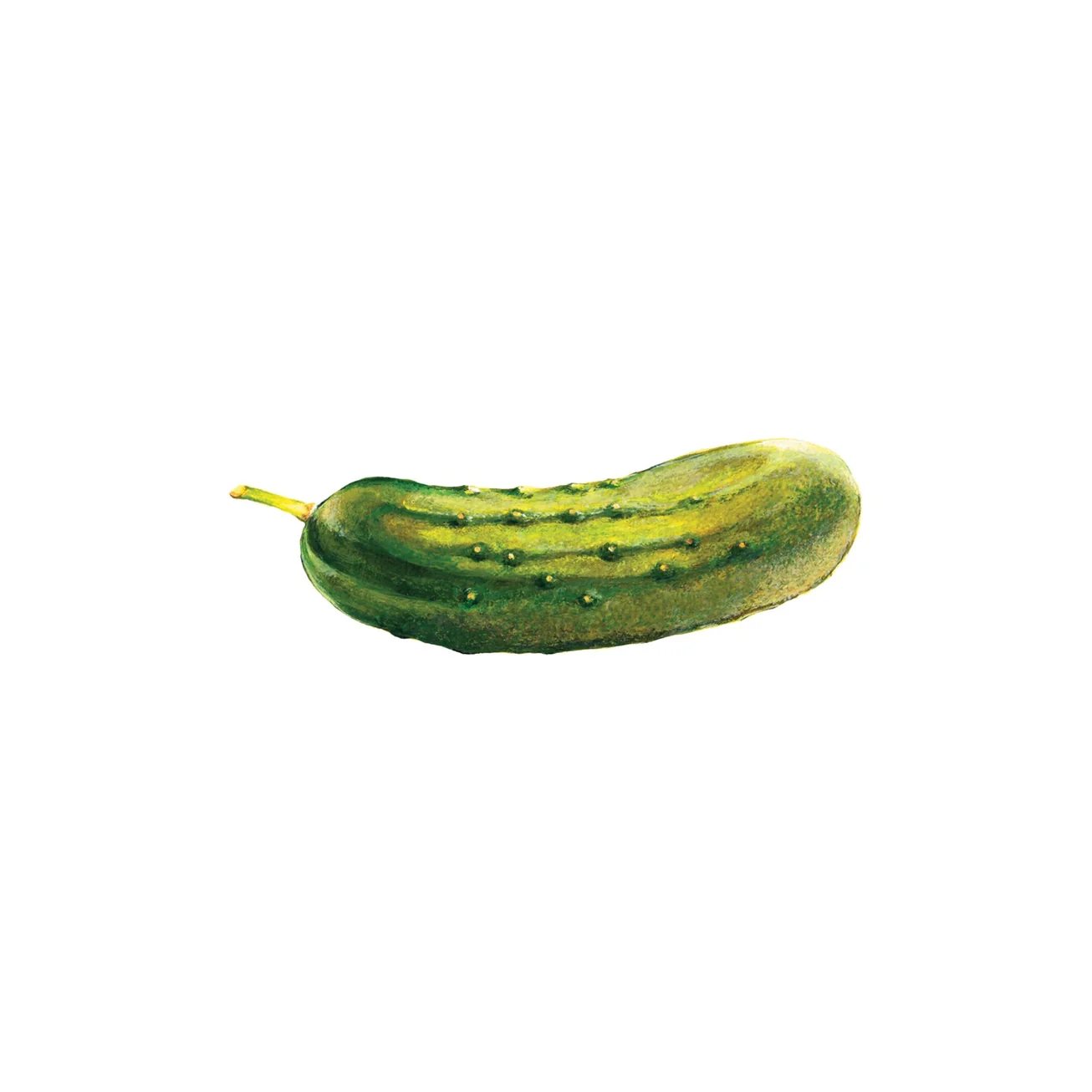 Tattly Tattoo Pair / Pickle