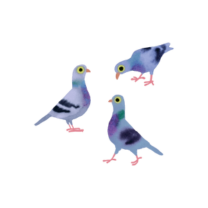 Tattly Tattoo Pair / Pigeon Pals
