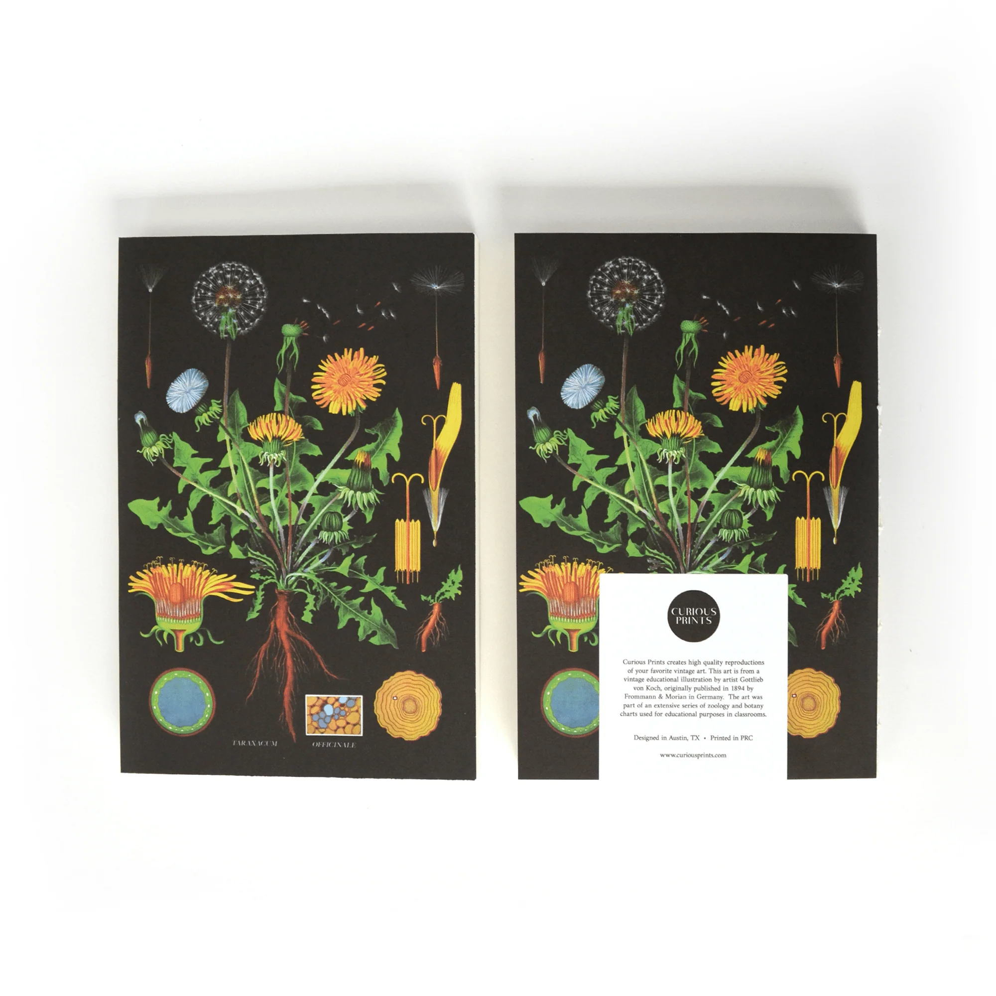 Vintage Botanical Dandelion Exposed Coptic Binding Notebook - Image 2