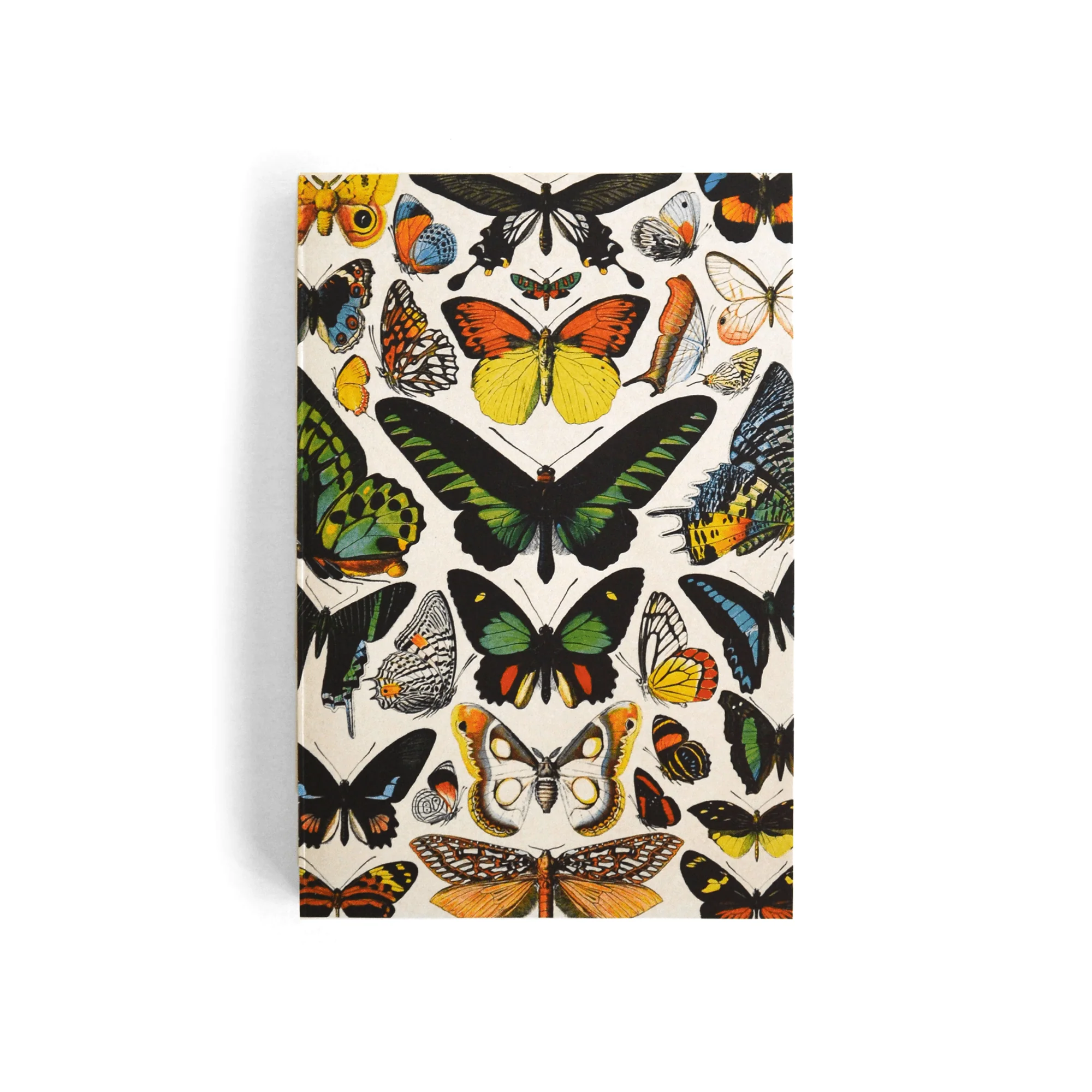 Vintage Butterfly Exposed Coptic Binding Notebook - Image 2