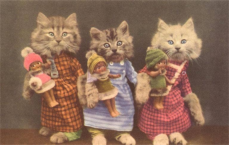 Vintage Postcard / Dressed Kittens with Dolls