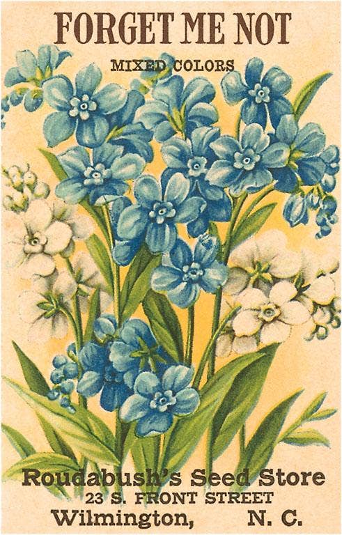 Vintage Postcard / Forget Me Not Seed Packet