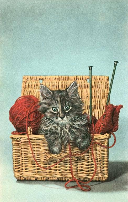 Vintage Postcard / Kitten in Knitting Basket