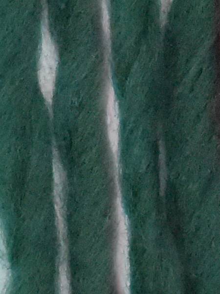 Young and Trendy Solid / 209 Green - Image 2